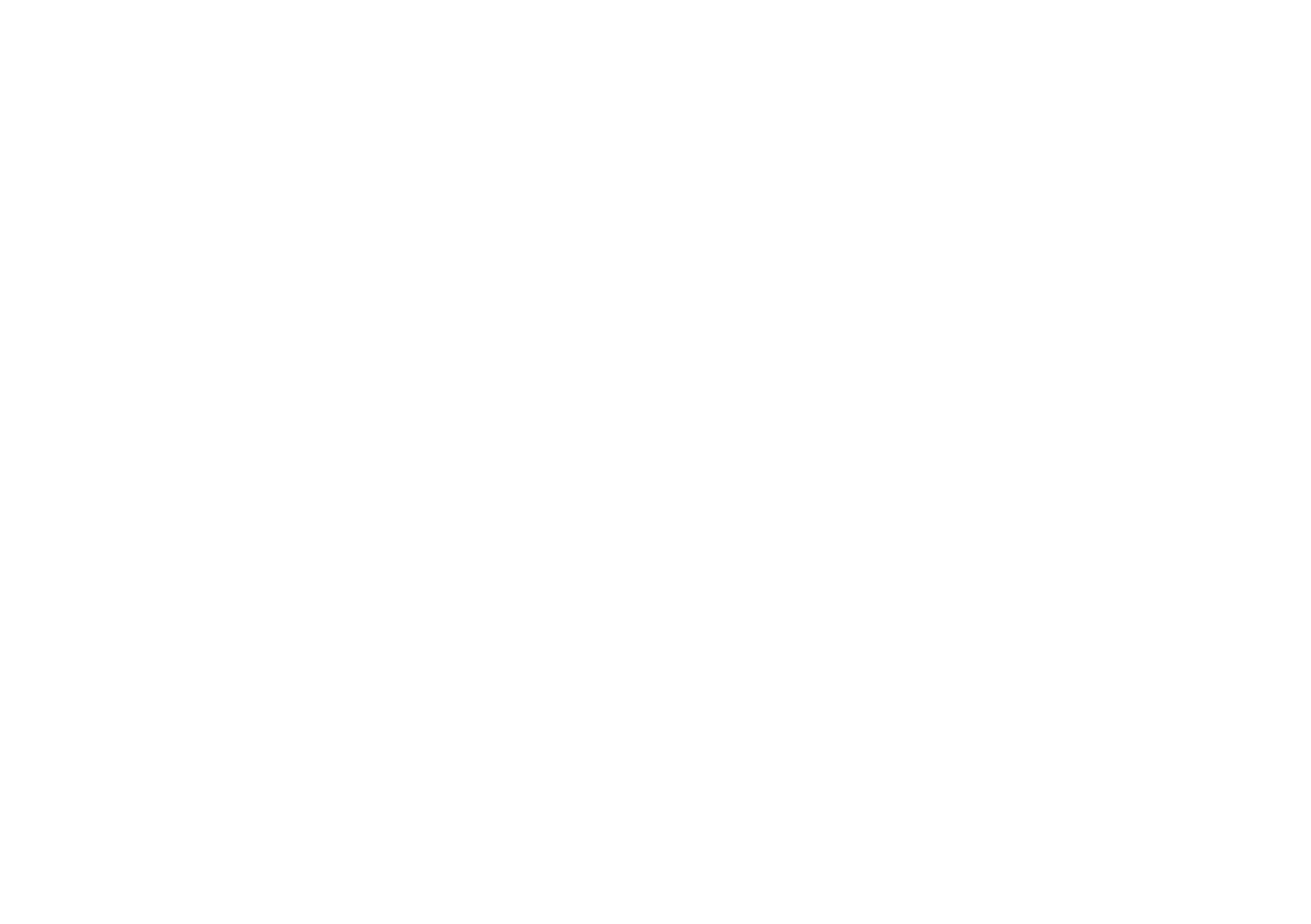 Der Brückenbauer Christian Aebi